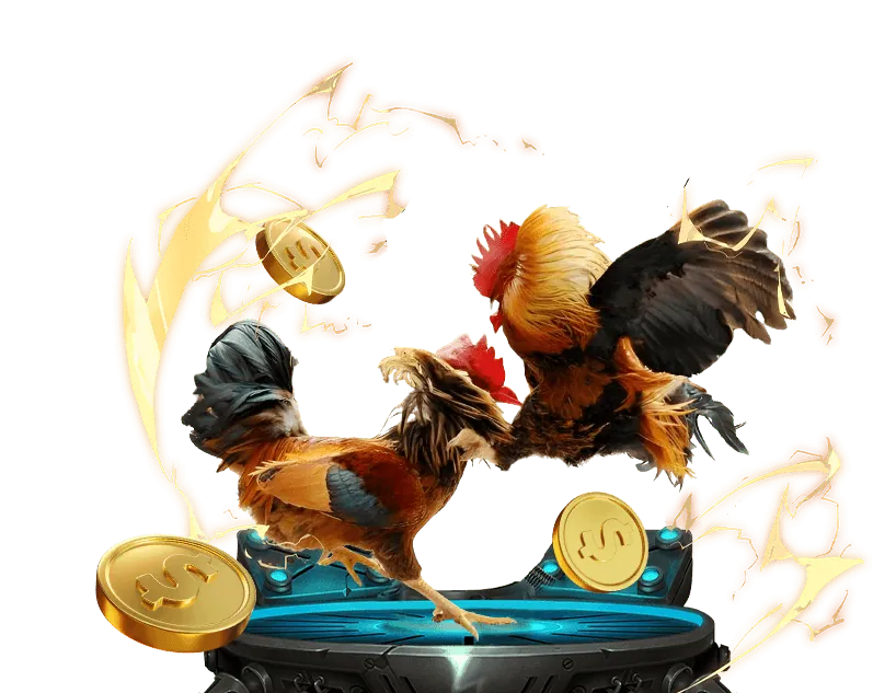 Cá cược các môn thể thao khác tại soi kèo 888